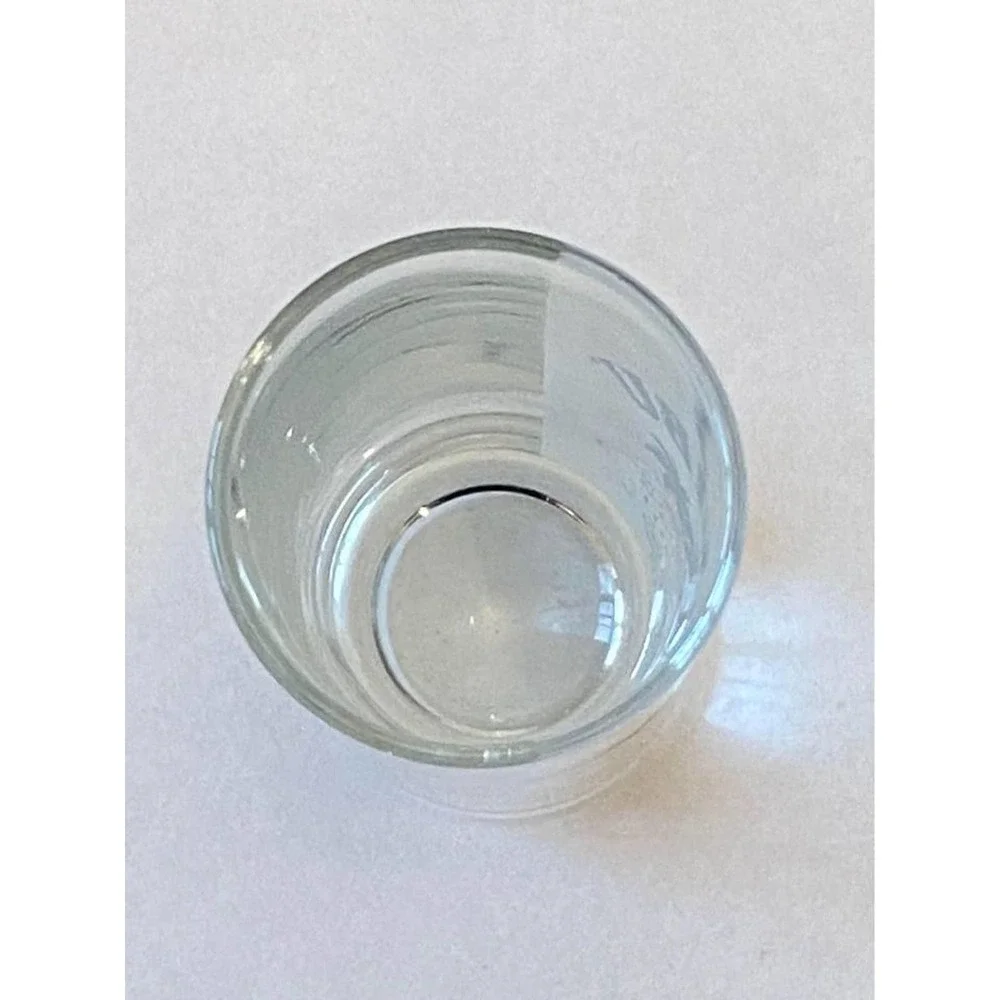 Double Shot Malibu Caribbean White Rum with Coconut‎ Shot Glass